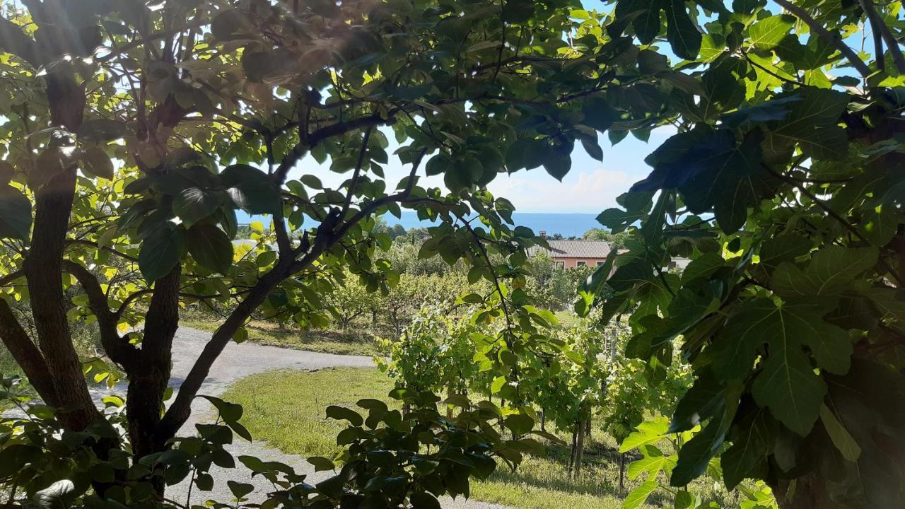Apartma Tul 伊佐拉 外观 照片