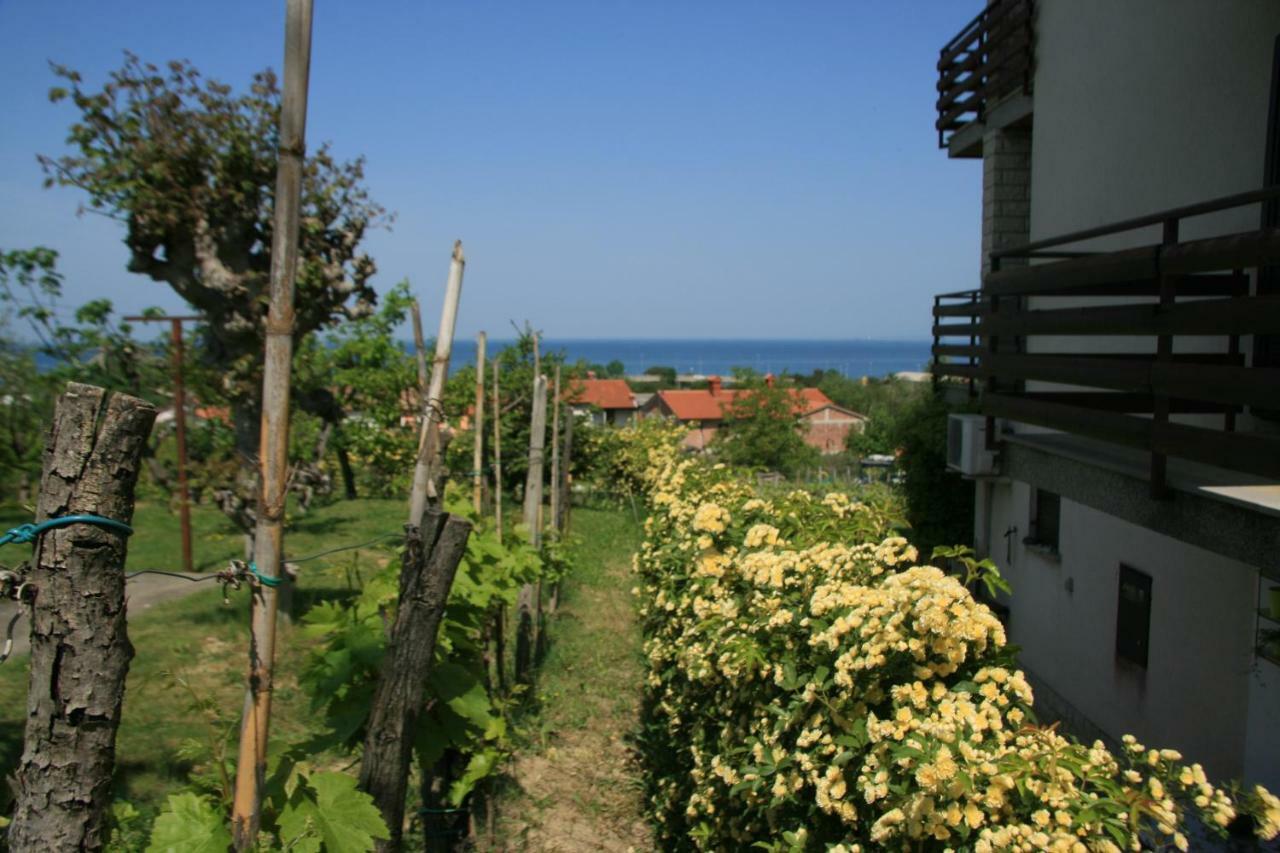 Apartma Tul 伊佐拉 外观 照片